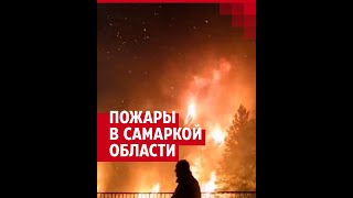 Природные пожары в Самарской области уничтожают леса и села |