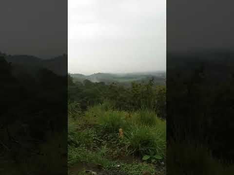 Joging sehat #shorts