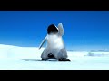 Prince Song Of The Heart Happy Feet