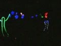 blacklight puppet show- if your happy and you're ...