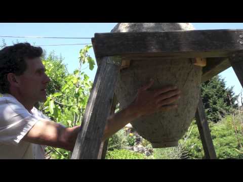 The language of the Sun Hive