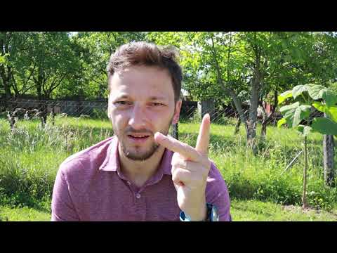 Hula împotriva Duhului Sfânt (Matei 12:31) | Tălmăciri Ep.08