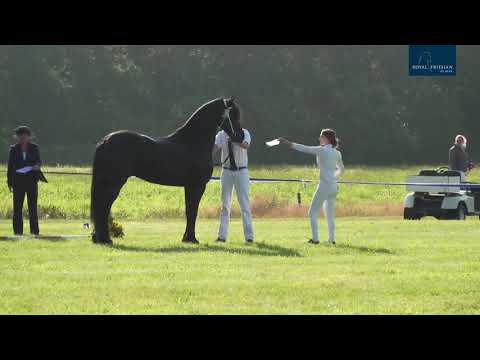 Fokdag It Fryske Greidhynder 24-7-2021