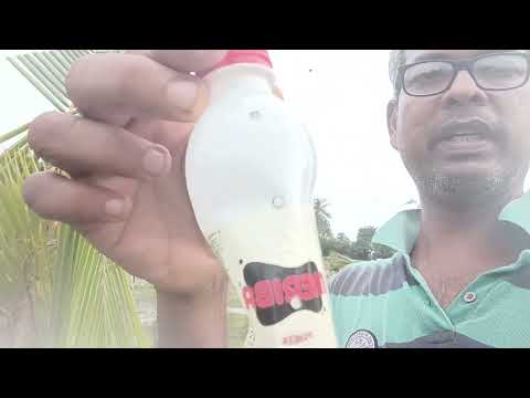 How to protect Coconut tree from Rhinocerous beetle