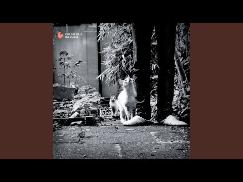 Been Around the World