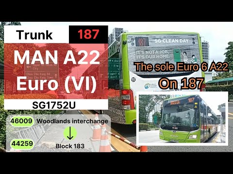 SMRT I Sole MAN A22 Euro VI (SG1752U) on service 187 - from WITH to Block 183