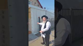 ר' שלמה הערש עקשטיין, יעצט אין  שטאט צאנז, ווי ער קאכט פאר די יארצייט פון דעם הייליגן צאנזער רב.