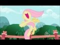 My Little Pony: Friendship is Magic - Find A Pet ...