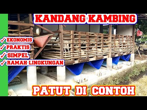 , title : 'KANDANG KAMBING PALING PATUT DI CONTOH - KANDANG DOMBA SANGAT RAMAH LINGKUNGAN DAN BIAYA EKONOMIS'