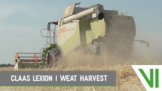 CLAAS Lexion 550 | Wheat harvest | Tarwe dorsen | 2018 | Blitterswijk Agro