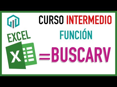 Excel para contadores - Contador Contado
