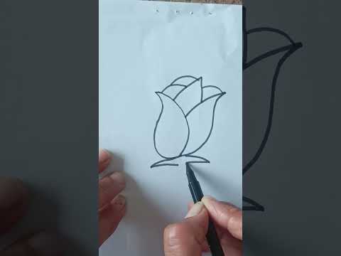 Beautiful and easy flower drawing