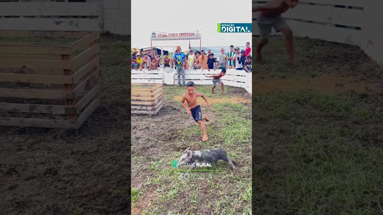 Crianças encaram desafio inusitado para pegar porquinho