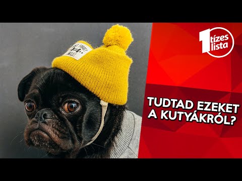 Mi a rövidlátás és a szürkehályog