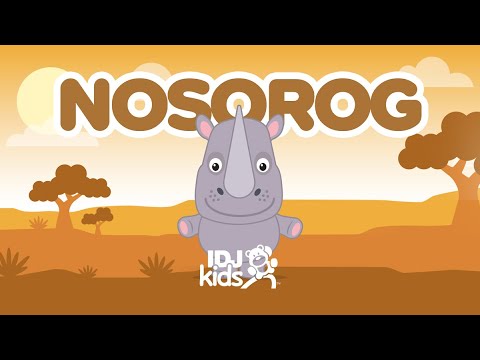 NOSOROG // NAJLEPSE DECIJE PESME // @RankoDamjanovic & @IDJKids