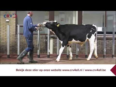 Delta Tiramisu PP RF