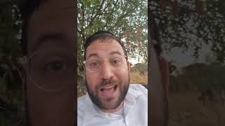 למה יענקל'ה קורנבליט לא רקד עם השייח הדרוזי ?!