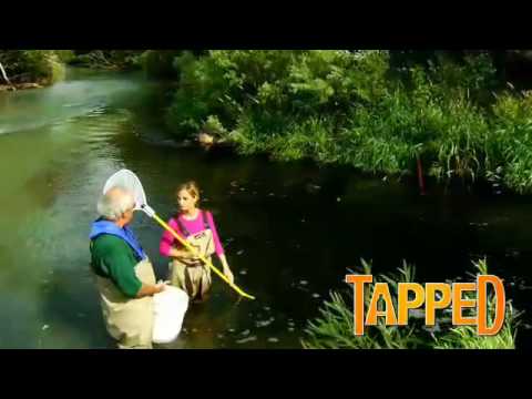 Tapped – Chemicals in the Water