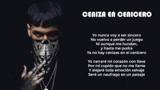 Anuel AA - Ceniza En Cenicero (Lyric Video)