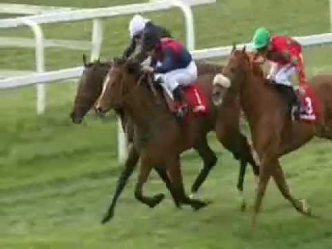 120° Premio Pisa (LISTED RACE)