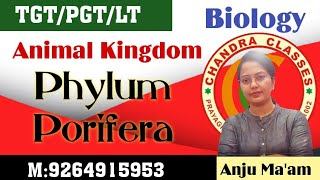 ANIMAL KINGDOM || PHYLUM PORIFERA IN ONE LECTURE || LT,TGT,PGT BIOLOGY || BY ANJU MAM