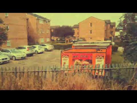 No Peace No Justice - Zion Train (feat Cara and Fitta Warri) - video by Marko Vojnic