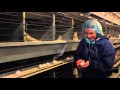 Video Thumbnail for Eggs-ploring the Bone Creek Hutterite Colony Poultry Farm