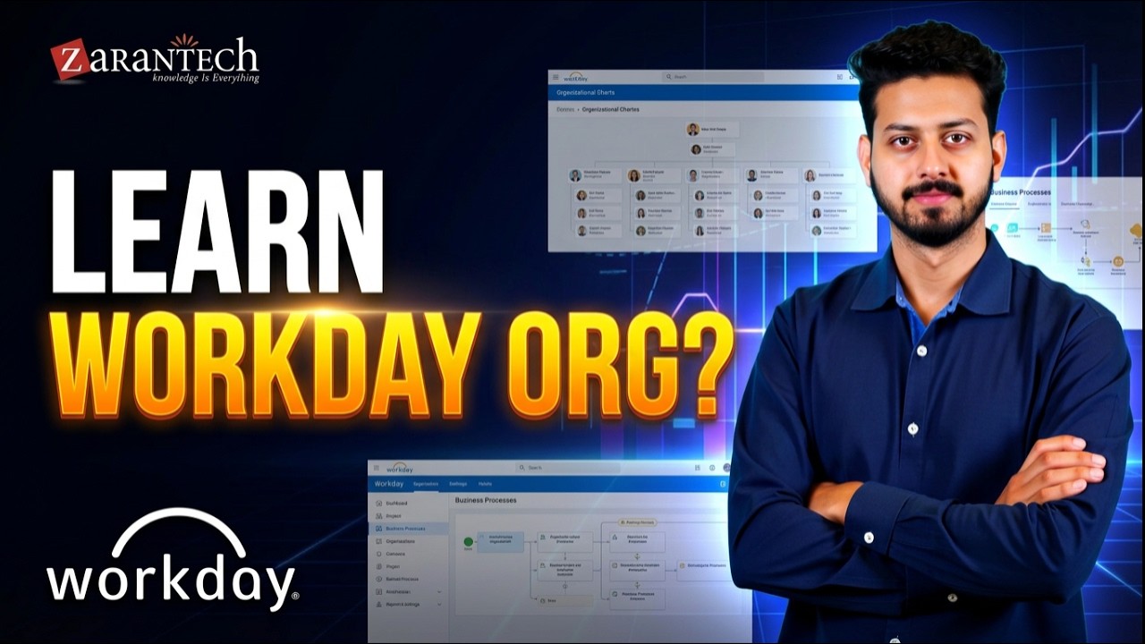 Organization | Workday HCM Training | ZaranTech