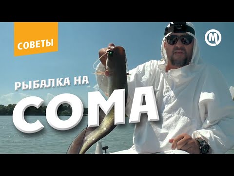 Фото Рыбалка на СОМА ЛЕТОМ на квок!