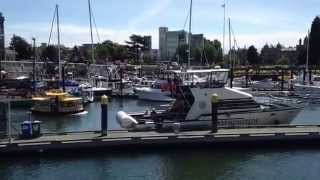 "Sonny's Dream" Fan Video