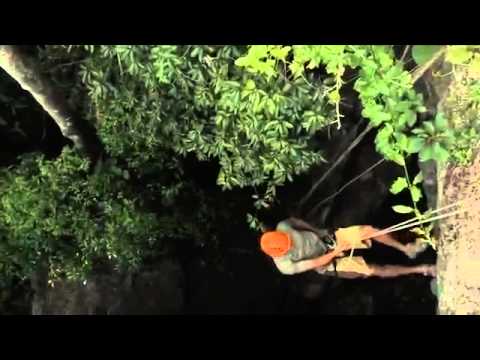 Coba Mayan Encounter