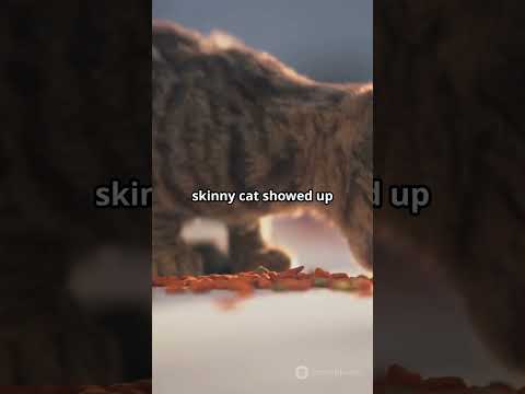 A cat lovers story # cat and cat lovers story # moral story # Nafi ai story.