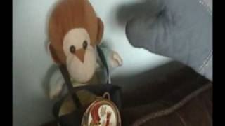 preview picture of video 'BOB THE MONKEY 2!'
