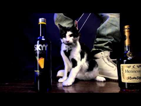 A pa Z -Piloto Dflow SamBriu ft Young G Sambriu