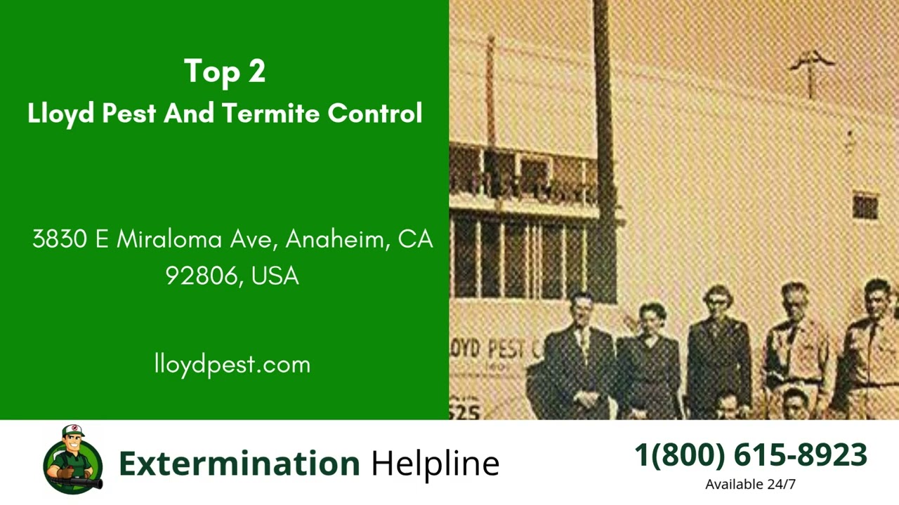 Top 3 Exterminators in Placentia