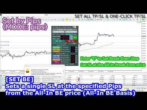 Video One Click Core SL TP Batch