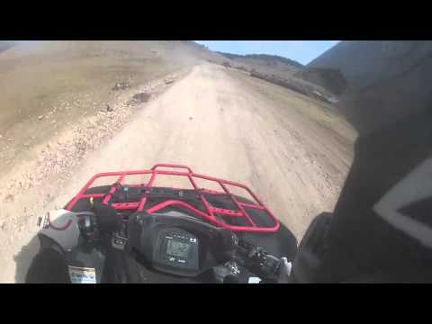 Dog nearly gets hit by ATV