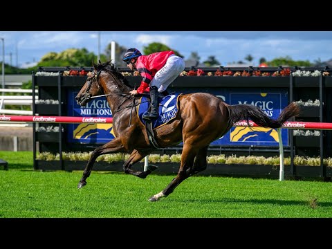 WATCH THIS HORSE! NINJA looks set for a huge 2026 after a dominant Vo Rogue Plate (G3) victory!