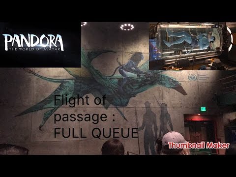 Flight Of Passage ( FULL QUEUE ) Pandora The World Avatar