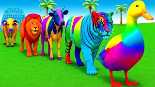 Download lagu Long Slide Game With Elephant Gorilla Buffalo Hippopotamus Tiger - 3d Animal Game - Funny 3d Animals mp3