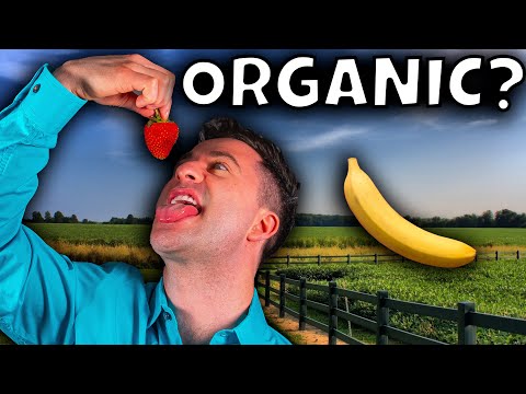 The TRUTH About Organic Food - What You NEED to Know