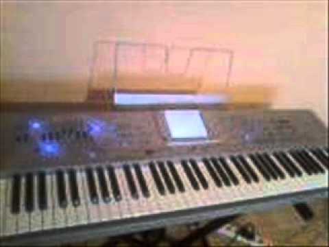 SORIN DE LA GALATI SI CHIRILA DE LA PISCU INSTRUMENTALA [10].wmv