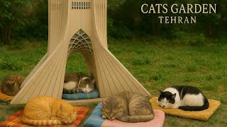 Cat Life in Iran Cute cats relaxing on Tehran Art Garden