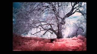 Deadmau5 - Superbia (Sealz Dream State Remix)