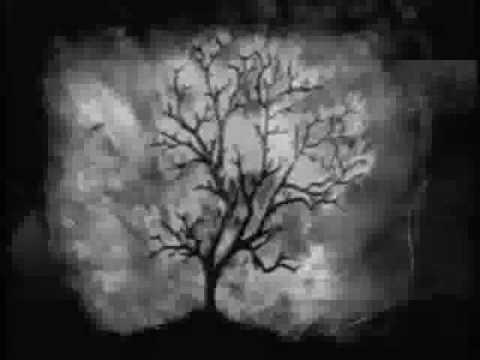 FAT MC   CONFUSIONE LIRICA