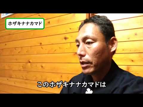 ナナカマド、ナナカマドベリー 植物