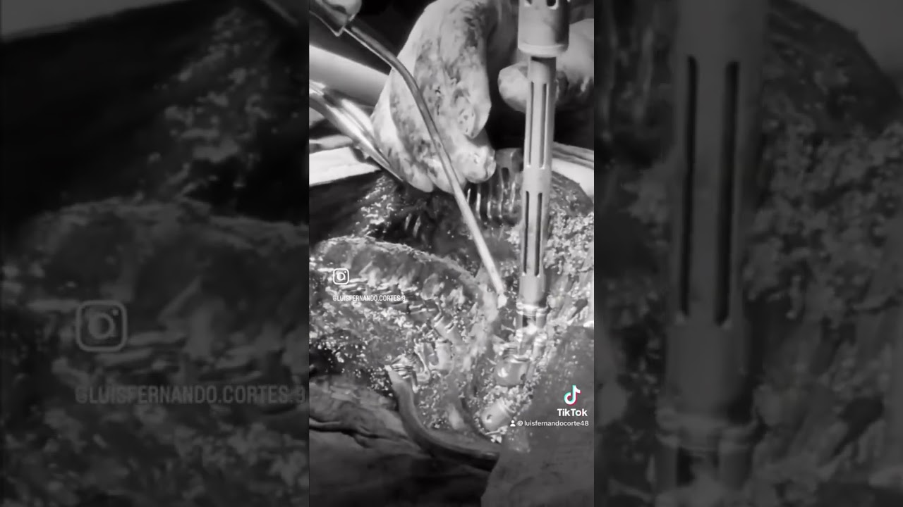 Luis Fernando Cortés Torres-8