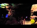 The Seas With Nemo And Friends