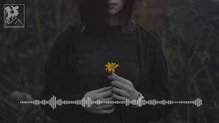 IRIS - Kina Grannis [Lofi remix]