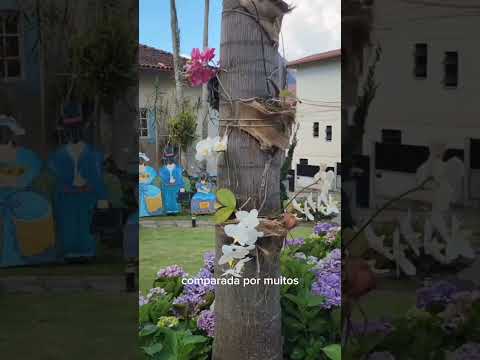 PEDRA DIBOÁ: CARTÃO POSTAL DE SANTA MARIA MADALENA RJ.